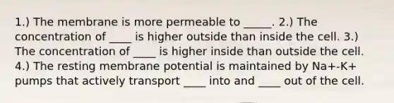 1.) The membrane is more permeable to _____. 2.) The concentration of ____ is higher outside than inside the cell. 3.) The concentration of ____ is higher inside than outside the cell. 4.) The resting membrane potential is maintained by Na+-K+ pumps that actively transport ____ into and ____ out of the cell.