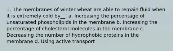 1. The membranes of winter wheat are able to remain fluid when it is extremely cold by__. a. Increasing the percentage of unsaturated phospholipids in the membrane b. Increasing the percentage of cholesterol molecules in the membrane c. Decreasing the number of hydrophobic proteins in the membrane d. Using active transport