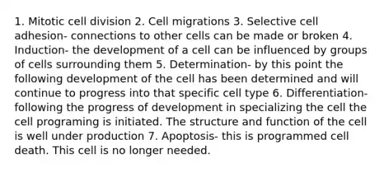 1. Mitotic cell division 2. Cell migrations 3. Selective cell adhesion- connections to other cells can be made or broken 4. Induction- the development of a cell can be influenced by groups of cells surrounding them 5. Determination- by this point the following development of the cell has been determined and will continue to progress into that specific cell type 6. Differentiation- following the progress of development in specializing the cell the cell programing is initiated. The structure and function of the cell is well under production 7. Apoptosis- this is programmed cell death. This cell is no longer needed.