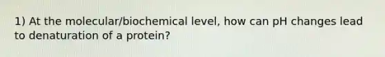 1) At the molecular/biochemical level, how can pH changes lead to denaturation of a protein?