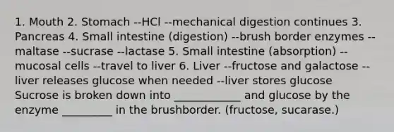 1. Mouth 2. Stomach --HCl --mechanical digestion continues 3. Pancreas 4. Small intestine (digestion) --brush border enzymes --maltase --sucrase --lactase 5. Small intestine (absorption) --mucosal cells --travel to liver 6. Liver --fructose and galactose --liver releases glucose when needed --liver stores glucose Sucrose is broken down into ____________ and glucose by the enzyme _________ in the brushborder. (fructose, sucarase.)