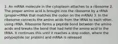 1. An mRNA molecule in the cytoplasm attaches to a ribosome 2. The proper amino acid is brought into the ribosome by a tRNA (proper=tRNA that matches the codon on the mRNA) 3. In the ribosome connects the amino acids from the tRNA to each other, using rRNA. Ribosome forms a peptide bond between the amino acids and breaks the bond that had held the amino acid to the tRNA. It continues this until it reaches a stop codon, where the polypeptide (or protein) and mRNA is released