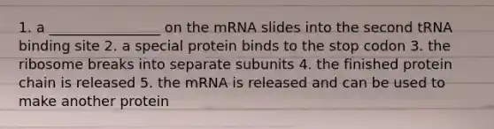 1. a ________________ on the mRNA slides into the second tRNA binding site 2. a special protein binds to the stop codon 3. the ribosome breaks into separate subunits 4. the finished protein chain is released 5. the mRNA is released and can be used to make another protein