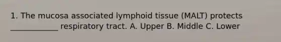 1. The mucosa associated lymphoid tissue (MALT) protects ____________ respiratory tract. A. Upper B. Middle C. Lower