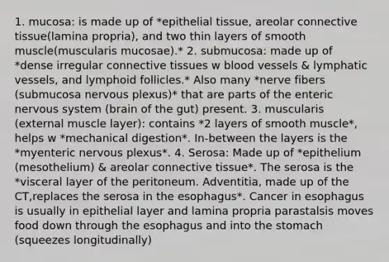 1. mucosa: is made up of *epithelial tissue, areolar connective tissue(lamina propria), and two thin layers of smooth muscle(muscularis mucosae).* 2. submucosa: made up of *dense irregular connective tissues w blood vessels & lymphatic vessels, and lymphoid follicles.* Also many *nerve fibers (submucosa nervous plexus)* that are parts of the enteric nervous system (brain of the gut) present. 3. muscularis (external muscle layer): contains *2 layers of smooth muscle*, helps w *mechanical digestion*. In-between the layers is the *myenteric nervous plexus*. 4. Serosa: Made up of *epithelium (mesothelium) & areolar connective tissue*. The serosa is the *visceral layer of the peritoneum. Adventitia, made up of the CT,replaces the serosa in the esophagus*. Cancer in esophagus is usually in epithelial layer and lamina propria parastalsis moves food down through the esophagus and into the stomach (squeezes longitudinally)