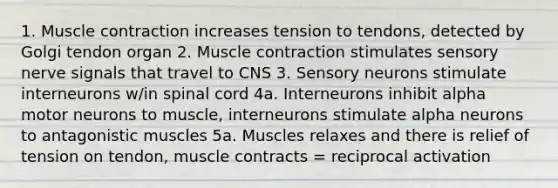 1. Muscle contraction increases tension to tendons, detected by Golgi tendon organ 2. Muscle contraction stimulates sensory nerve signals that travel to CNS 3. Sensory neurons stimulate interneurons w/in spinal cord 4a. Interneurons inhibit alpha motor neurons to muscle, interneurons stimulate alpha neurons to antagonistic muscles 5a. Muscles relaxes and there is relief of tension on tendon, muscle contracts = reciprocal activation