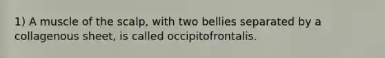 1) A muscle of the scalp, with two bellies separated by a collagenous sheet, is called occipitofrontalis.