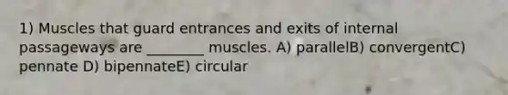 1) Muscles that guard entrances and exits of internal passageways are ________ muscles. A) parallelB) convergentC) pennate D) bipennateE) circular