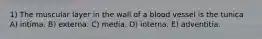 1) The muscular layer in the wall of a blood vessel is the tunica A) intima. B) externa. C) media. D) interna. E) adventitia.