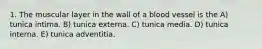 1. The muscular layer in the wall of a blood vessel is the A) tunica intima. B) tunica externa. C) tunica media. D) tunica interna. E) tunica adventitia.