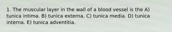 1. The muscular layer in the wall of a blood vessel is the A) tunica intima. B) tunica externa. C) tunica media. D) tunica interna. E) tunica adventitia.