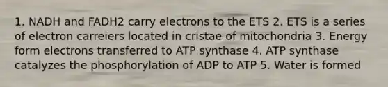 1. NADH and FADH2 carry electrons to the ETS 2. ETS is a series of electron carreiers located in cristae of mitochondria 3. Energy form electrons transferred to ATP synthase 4. ATP synthase catalyzes the phosphorylation of ADP to ATP 5. Water is formed