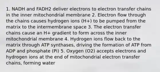 1. NADH and FADH2 deliver electrons to electron transfer chains in the inner mitochondrial membrane 2. Electron flow through the chains causes hydrogen ions (H+) to be pumped from the matrix to the intermembrane space 3. The electron transfer chains cause an H+ gradient to form across the inner mitochondrial membrane 4. Hydrogen ions flow back to the matrix through ATP synthases, driving the formation of ATP from ADP and phosphate (Pi) 5. Oxygen (O2) accepts electrons and hydrogen ions at the end of mitochondrial electron transfer chains, forming water