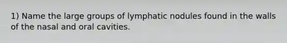 1) Name the large groups of lymphatic nodules found in the walls of the nasal and oral cavities.