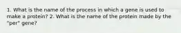 1. What is the name of the process in which a gene is used to make a protein? 2. What is the name of the protein made by the "per" gene?