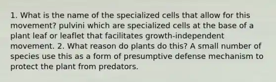 1. What is the name of the specialized cells that allow for this movement? pulvini which are specialized cells at the base of a plant leaf or leaflet that facilitates growth-independent movement. 2. What reason do plants do this? A small number of species use this as a form of presumptive defense mechanism to protect the plant from predators.