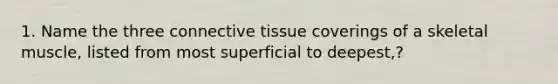 1. Name the three connective tissue coverings of a skeletal muscle, listed from most superficial to deepest,?