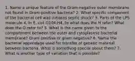 1. Name a unique feature of the Gram-negative outer membrane not found in Gram-positive bacteria? 2. What specific component of the bacterial cell wall initiates septic shock? 3. Parts of the LPS molecule 4. In E. coli O104:H4, to what does the H refer? What does the O refer to? 5. What is the name given to the compartment between the outer and cytoplasmic bacterial membrane? Gram positive or gram negative? 6. Name the bacterial appendage used for transfer of genetic material between bacteria. What is something special about them? 7. What is another type of variation that is possible?