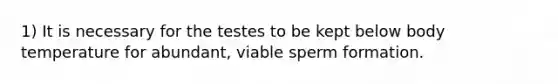 1) It is necessary for the testes to be kept below body temperature for abundant, viable sperm formation.