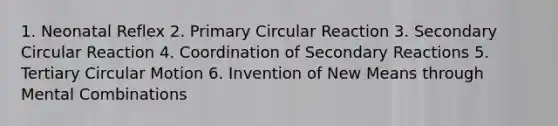 1. Neonatal Reflex 2. Primary Circular Reaction 3. Secondary Circular Reaction 4. Coordination of Secondary Reactions 5. Tertiary Circular Motion 6. Invention of New Means through Mental Combinations