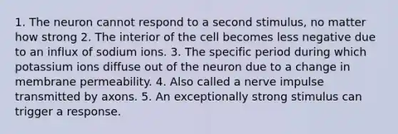 1. The neuron cannot respond to a second stimulus, no matter how strong 2. The interior of the cell becomes less negative due to an influx of sodium ions. 3. The specific period during which potassium ions diffuse out of the neuron due to a change in membrane permeability. 4. Also called a nerve impulse transmitted by axons. 5. An exceptionally strong stimulus can trigger a response.