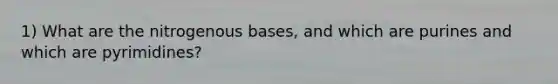 1) What are the nitrogenous bases, and which are purines and which are pyrimidines?