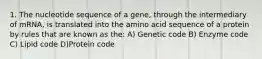 1. The nucleotide sequence of a gene, through the intermediary of mRNA, is translated into the amino acid sequence of a protein by rules that are known as the: A) Genetic code B) Enzyme code C) Lipid code D)Protein code