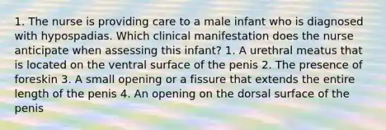 1. The nurse is providing care to a male infant who is diagnosed with hypospadias. Which clinical manifestation does the nurse anticipate when assessing this infant? 1. A urethral meatus that is located on the ventral surface of the penis 2. The presence of foreskin 3. A small opening or a fissure that extends the entire length of the penis 4. An opening on the dorsal surface of the penis