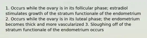 1. Occurs while the ovary is in its follicular phase; estradiol stimulates growth of the stratum functionale of the endometrium 2. Occurs while the ovary is in its luteal phase; the endometrium becomes thick and more vascularized 3. Sloughing off of the stratum functionale of the endometrium occurs