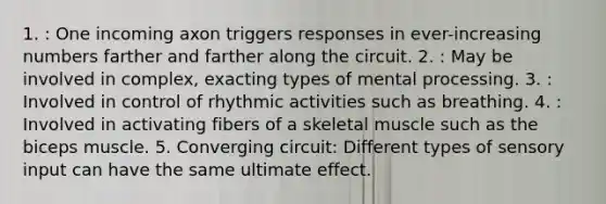 1. : One incoming axon triggers responses in ever-increasing numbers farther and farther along the circuit. 2. : May be involved in complex, exacting types of mental processing. 3. : Involved in control of rhythmic activities such as breathing. 4. : Involved in activating fibers of a <a href='https://www.questionai.com/knowledge/klixZejDS2-skeletal-muscle' class='anchor-knowledge'>skeletal muscle</a> such as the biceps muscle. 5. Converging circuit: Different types of sensory input can have the same ultimate effect.