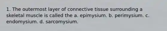 1. The outermost layer of connective tissue surrounding a skeletal muscle is called the a. epimysium. b. perimysium. c. endomysium. d. sarcomysium.