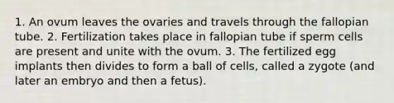 1. An ovum leaves the ovaries and travels through the fallopian tube. 2. Fertilization takes place in fallopian tube if sperm cells are present and unite with the ovum. 3. The fertilized egg implants then divides to form a ball of cells, called a zygote (and later an embryo and then a fetus).