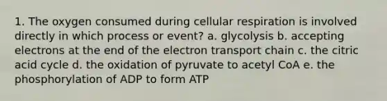 1. The oxygen consumed during cellular respiration is involved directly in which process or event? a. glycolysis b. accepting electrons at the end of the electron transport chain c. the citric acid cycle d. the oxidation of pyruvate to acetyl CoA e. the phosphorylation of ADP to form ATP