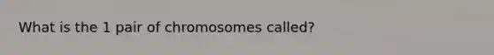 What is the 1 pair of chromosomes called?