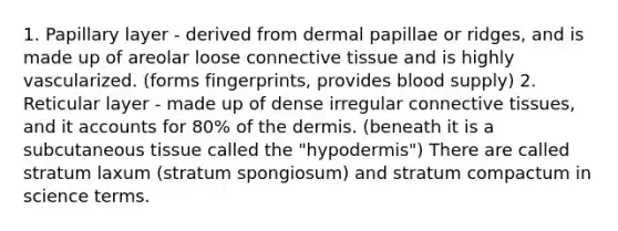 1. Papillary layer - derived from dermal papillae or ridges, and is made up of areolar loose connective tissue and is highly vascularized. (forms fingerprints, provides blood supply) 2. Reticular layer - made up of dense irregular connective tissues, and it accounts for 80% of the dermis. (beneath it is a subcutaneous tissue called the "hypodermis") There are called stratum laxum (stratum spongiosum) and stratum compactum in science terms.