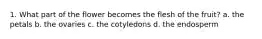 1. What part of the flower becomes the flesh of the fruit? a. the petals b. the ovaries c. the cotyledons d. the endosperm