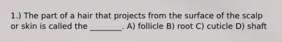 1.) The part of a hair that projects from the surface of the scalp or skin is called the ________. A) follicle B) root C) cuticle D) shaft