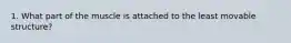1. What part of the muscle is attached to the least movable structure?