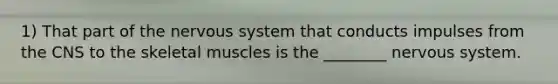 1) That part of the <a href='https://www.questionai.com/knowledge/kThdVqrsqy-nervous-system' class='anchor-knowledge'>nervous system</a> that conducts impulses from the CNS to the skeletal muscles is the ________ nervous system.