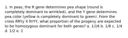 1. In peas, the R gene determines pea shape (round is completely dominant to wrinkled), and the Y gene determines pea color (yellow is completely dominant to green). From the cross RRYy X RrYY, what proportion of the progeny are expected to be homozygous dominant for both genes? a. 1/16 b. 1/8 c. 1/4 d. 1/2 e. 1