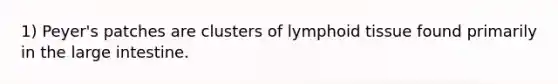 1) Peyer's patches are clusters of lymphoid tissue found primarily in the large intestine.