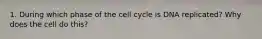 1. During which phase of the cell cycle is DNA replicated? Why does the cell do this?