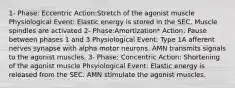 1- Phase: Eccentric Action:Stretch of the agonist muscle Physiological Event: Elastic energy is stored in the SEC. Muscle spindles are activated 2- Phase:Amortization* Action: Pause between phases 1 and 3 Physiological Event: Type 1A afferent nerves synapse with alpha motor neurons. AMN transmits signals to the agonist muscles. 3- Phase: Concentric Action: Shortening of the agonist muscle Phsyiological Event: Elastic energy is released from the SEC. AMN stimulate the agonist muscles.