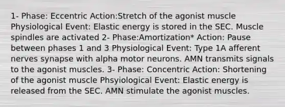 1- Phase: Eccentric Action:Stretch of the agonist muscle Physiological Event: Elastic energy is stored in the SEC. Muscle spindles are activated 2- Phase:Amortization* Action: Pause between phases 1 and 3 Physiological Event: Type 1A afferent nerves synapse with alpha motor neurons. AMN transmits signals to the agonist muscles. 3- Phase: Concentric Action: Shortening of the agonist muscle Phsyiological Event: Elastic energy is released from the SEC. AMN stimulate the agonist muscles.