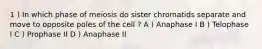 1 ) In which phase of meiosis do sister chromatids separate and move to opposite poles of the cell ? A ) Anaphase I B ) Telophase I C ) Prophase II D ) Anaphase II