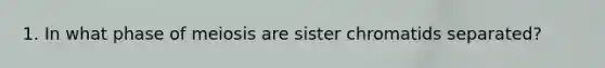 1. In what phase of meiosis are sister chromatids separated?