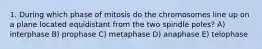 1. During which phase of mitosis do the chromosomes line up on a plane located equidistant from the two spindle poles? A) interphase B) prophase C) metaphase D) anaphase E) telophase