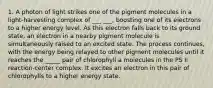 1. A photon of light strikes one of the pigment molecules in a light-harvesting complex of ___ ___, boosting one of its electrons to a higher energy level. As this electron falls back to its ground state, an electron in a nearby pigment molecule is simultaneously raised to an excited state. The process continues, with the energy being relayed to other pigment molecules until it reaches the _____ pair of chlorophyll a molecules in the PS II reaction-center complex. It excites an electron in this pair of chlorophylls to a higher energy state.