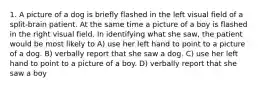 1. A picture of a dog is briefly flashed in the left visual field of a split-brain patient. At the same time a picture of a boy is flashed in the right visual field. In identifying what she saw, the patient would be most likely to A) use her left hand to point to a picture of a dog. B) verbally report that she saw a dog. C) use her left hand to point to a picture of a boy. D) verbally report that she saw a boy