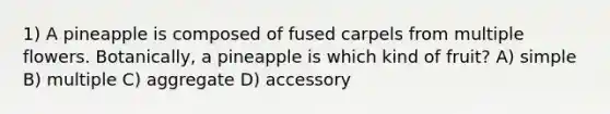 1) A pineapple is composed of fused carpels from multiple flowers. Botanically, a pineapple is which kind of fruit? A) simple B) multiple C) aggregate D) accessory